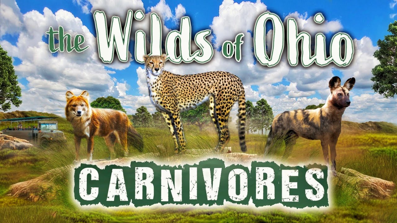 Zoo Tours: The Wilds of Ohio: Carnivores