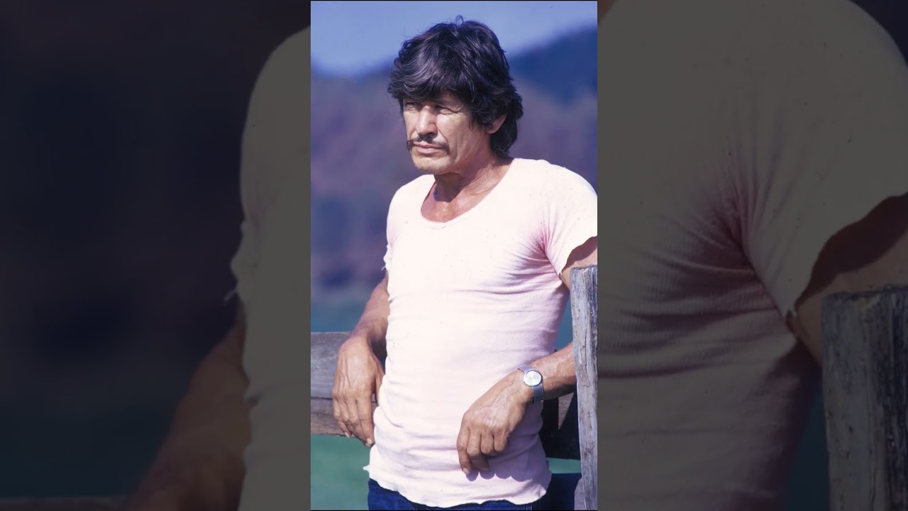 The Life and Death of Charles Bronson