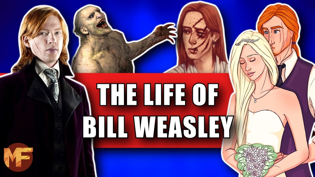 The Life of Bill Weasley Explained (+Bill & Fleur Relationship): Harry Potter