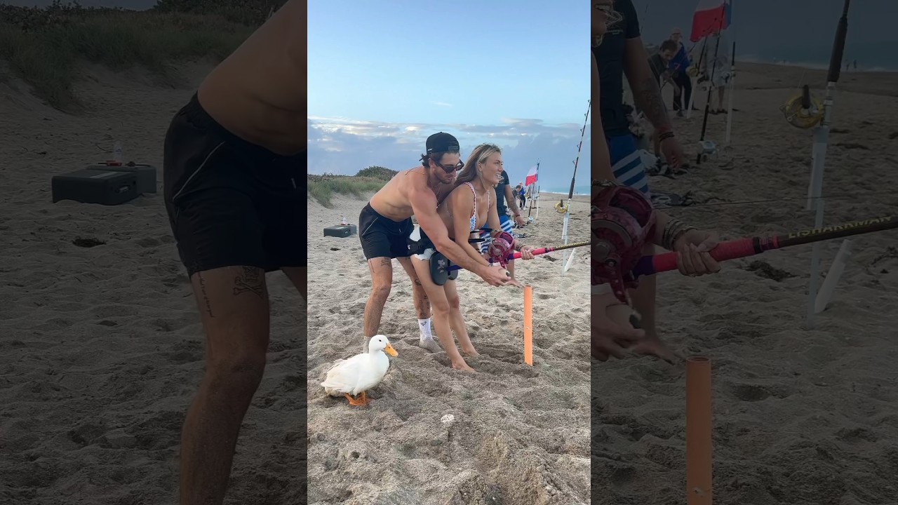 SHARK FISHIN’ 🦈