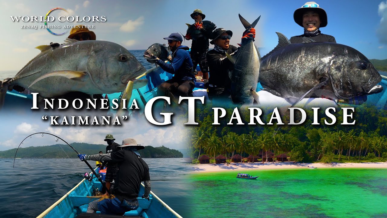 GT Paradise Kaimana, Indonesia - World Colors