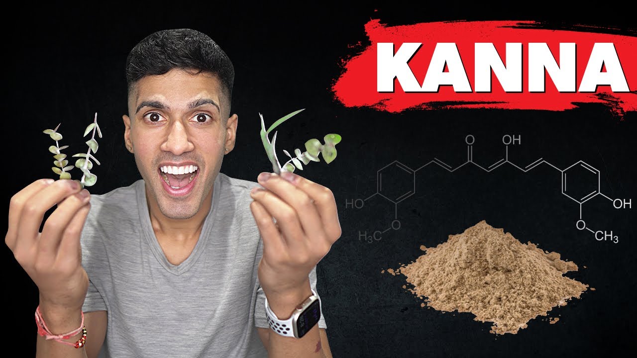 I Tried Kanna to Reset My Dopamine Levels (Sceletium Tortuosum for Anxiety & Stress Relief)