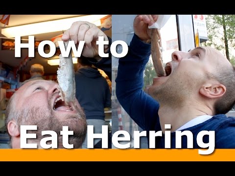3 BEST ways to Eat Herring in Amsterdam with Woltersworld