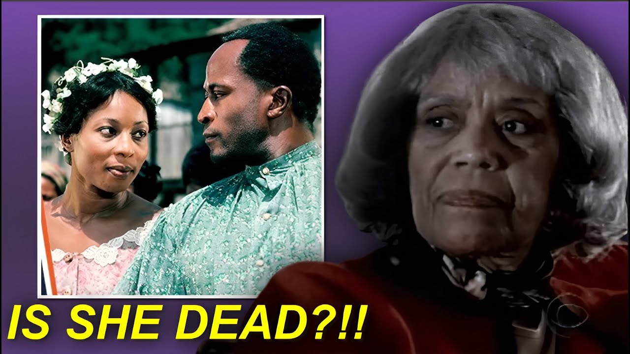 The Tragic Life of John Amos's Ex-Wife, Lillian Lehman