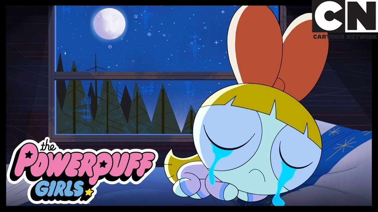 LONELY BLOSSOM | Powerpuff Girls Cartoon Network