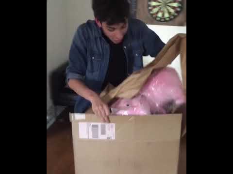 Devon Bostick Funny Moments