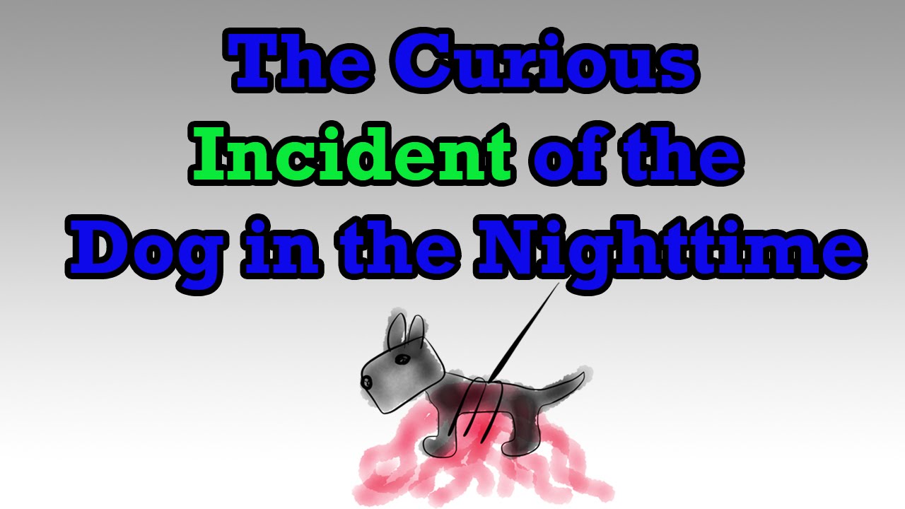 The Curious Incident of the Dog in the Nighttime by Mark Haddon (Book Summary) - Minute Book Report