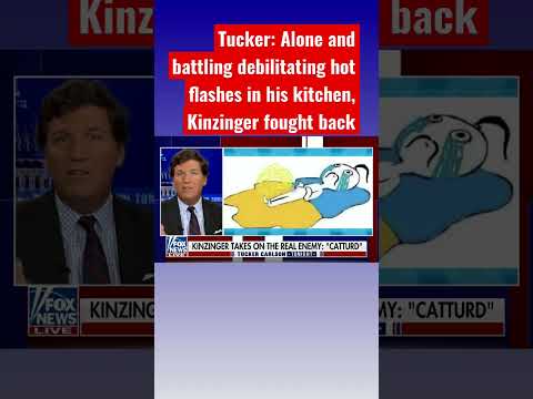 Tucker roasts Kinzinger’s beef with Twitter user ‘Catturd’ #shorts