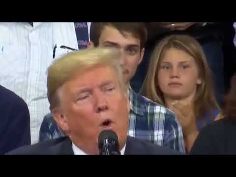 #PlaidShirtGuy at President Trump's rally in Billings goes viral