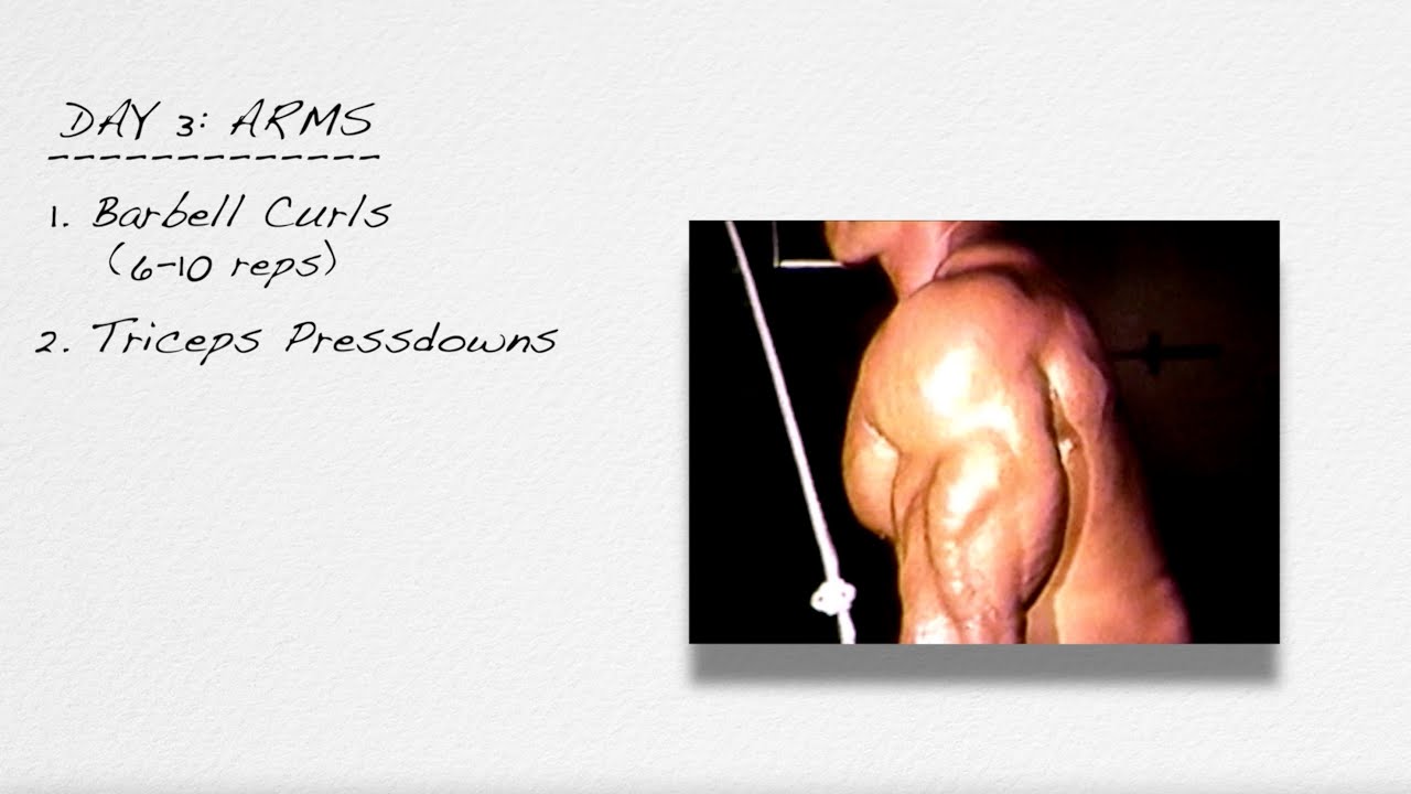 MIKE MENTZER: THE IDEAL ROUTINE