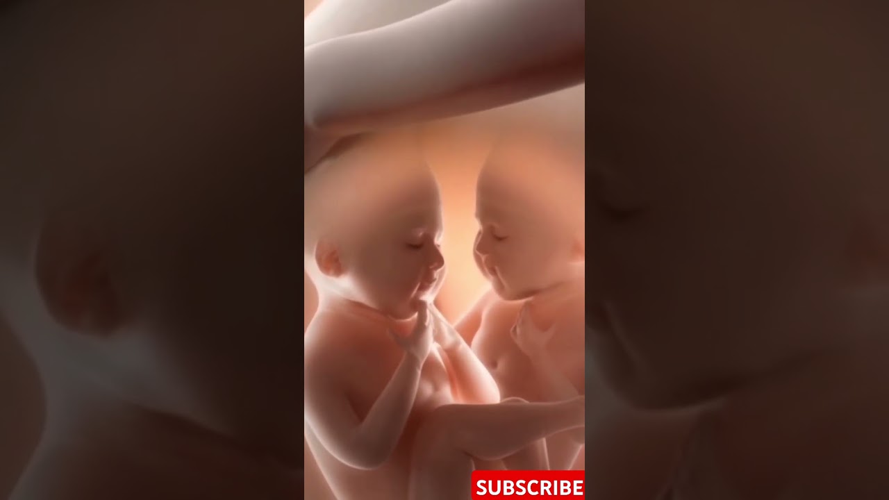 Wombmates: The Twins Who Played in the Uterus