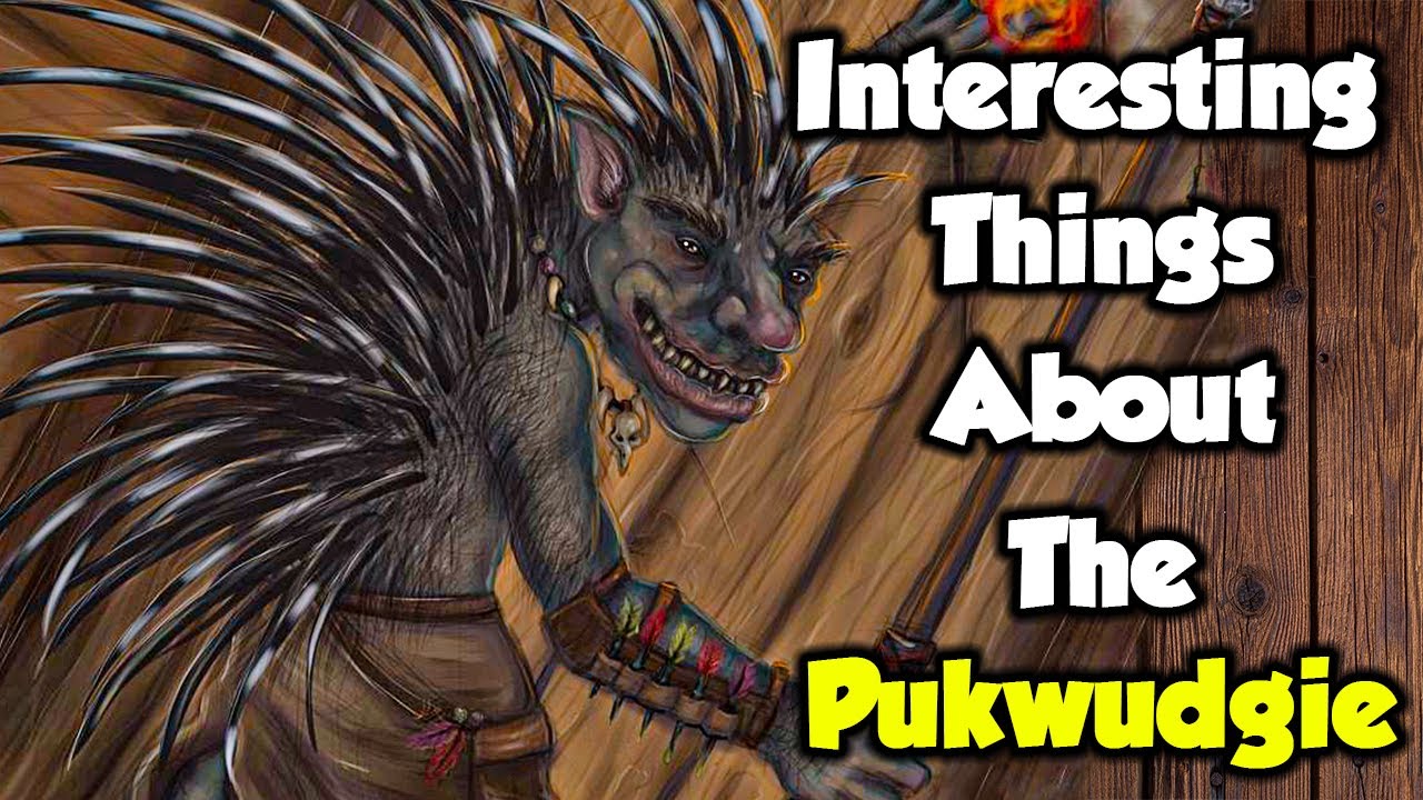 PUKWUDGIE : Interesting Things About The Little Wild Men Of The Woods ( Mythical Creatures )