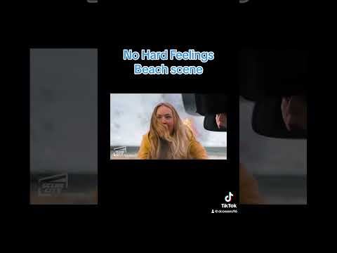 No Hard Feelings Beach Scene
